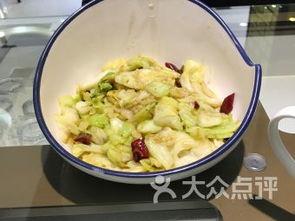 今日德州脆瓜价格,市场行情一览
