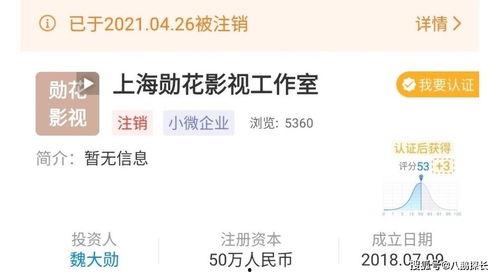 明星网红偷逃税ppt,PPT深度剖析