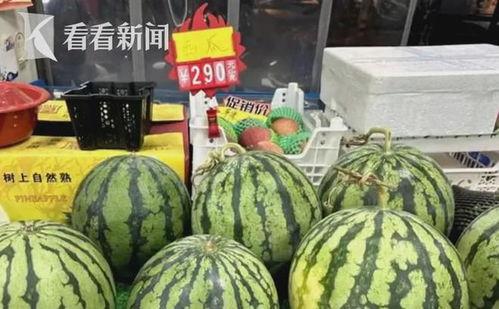 白瓜批发价格今日上海,“今日上海白瓜批发价格动态解析”