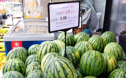 白瓜批发价格今日上海,“今日上海白瓜批发价格动态解析”