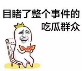 今日份瓜来了我喜欢弟弟,今日份“我喜欢弟弟”甜蜜揭秘