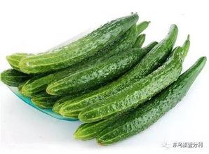 角瓜今日价格,角瓜市场动态一览