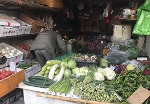 葫芦瓜今日行情,价格波动与市场动态一览