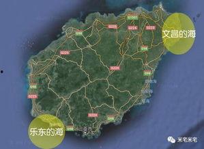 今日瓜价乐东