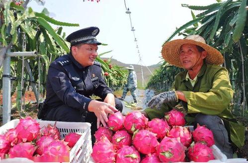 今日瓜价乐东
