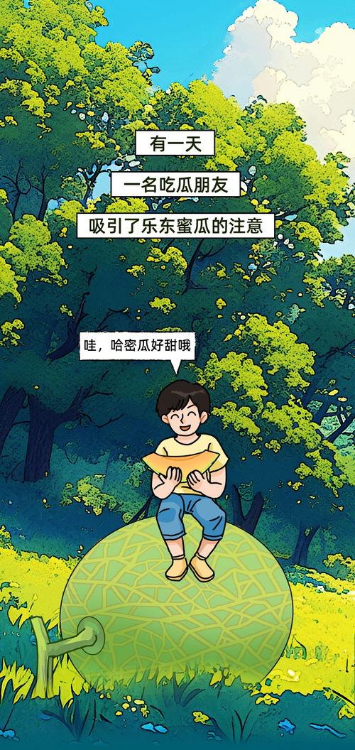 今日瓜价乐东