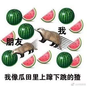 今日吃瓜大瓜每日分享,揭秘娱乐圈最新热点事件