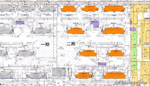 首衡蜜瓜今日价格行情查询,市场动态一览”