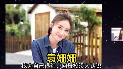 明星网红没读书挣钱吗,不读书也能赚大钱？揭秘明星网红的财富之路