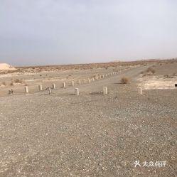 瓜州县今日猪价价格行情,涨跌互现，养殖户需关注市场动态