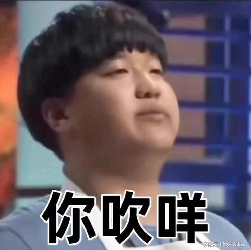 明星网红搞笑表情包大全,笑翻天！明星网红搞笑表情包大盘点