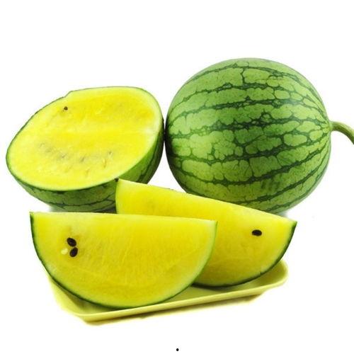 黄哈密瓜今日三亚批发价,品质佳价优，抢购正当时！”
