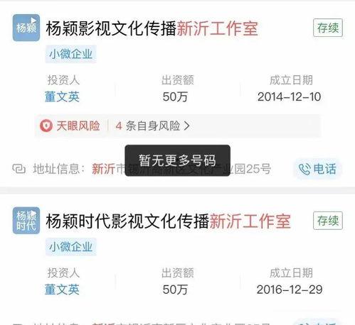 明星网红工作属性有哪些,多元化职业背后的精彩故事