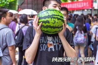 今日爆料吃瓜阳宝骑行圈,揭秘今日爆料背后的精彩故事