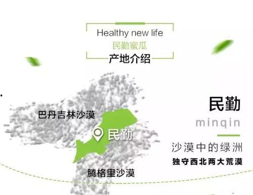今日民勤蜜瓜价格播报,甜蜜来袭，品质之选价格揭晓