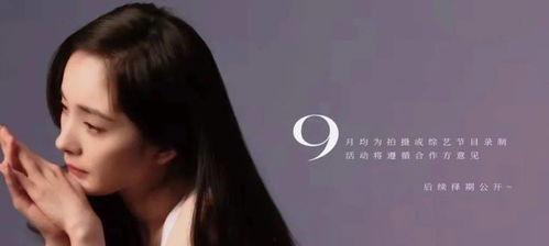 9月明星网红行程,精彩活动轮番上演