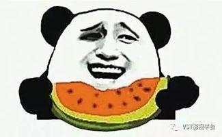 五一吃瓜群众今日吃瓜