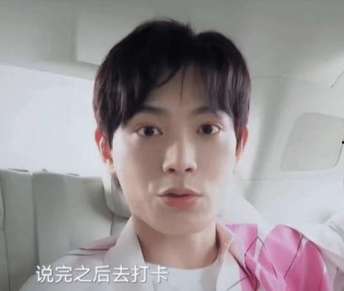 明星网红真实颜值排名,揭秘明星网红真实颜值排名榜单