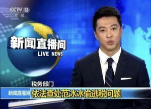 明星网红为啥不交税收,避税背后的真相与挑战