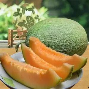 商丘310市场今日哈密瓜,新鲜上市，甜蜜来袭
