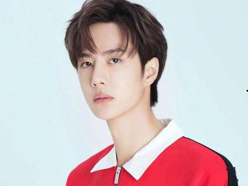 羽铮什么是明星网红,明星网红背后的魅力与影响力