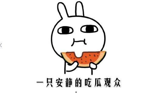 黑料事件吃瓜,揭秘娱乐圈背后的真相与争议