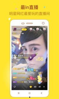 直播明星网红美食视频下载,一网打尽热门美食视频下载攻略