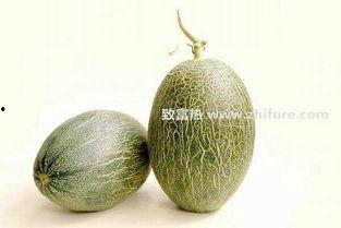 今日海南哈密瓜价格最新行情,新鲜上市，价格走俏