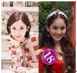 明星网红照片对比图男女,揭秘男女生差异之谜