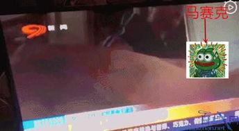 今日四川吃瓜新闻直播,盘点今日热点事件与民间热议