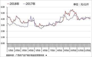 茄瓜行情今日行情分析,今日分析揭示市场动态与趋势