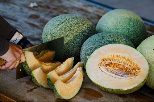 香甜蜜瓜今日在线营业,尽享夏日清新美味