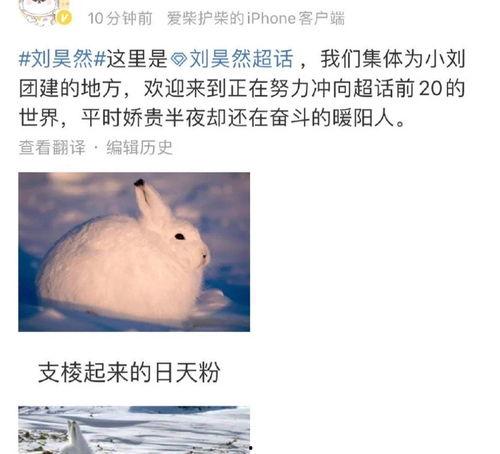 今日顶流瓜,娱乐圈最新热点事件深度解析