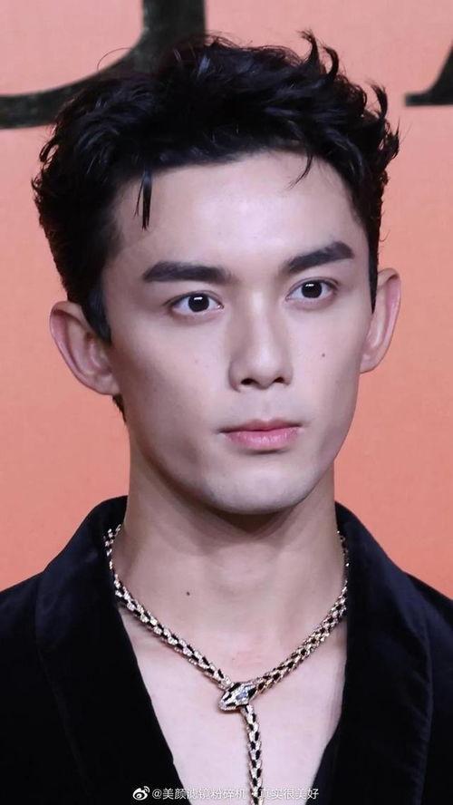男明星网红艺人有哪些,网络与舞台的璀璨之星