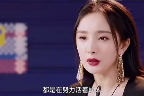 火花的明星网红叫什么,揭秘网红明星的璀璨人生
