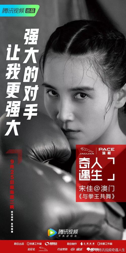 明星网红重回校园文案,明星网红校园再续青春篇章