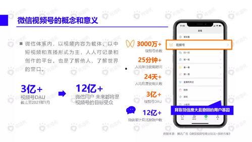 明星网红矩阵视频素材下载,明星风采瞬间回顾
