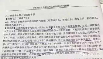 明星网红事故案例分析总结,风险防范与舆情应对策略解析
