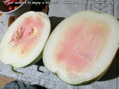 今日沙白瓜价格,市场行情一览