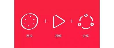 今日头条太阳瓜,揭秘今日头条热门话题背后的故事