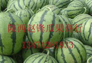 哈密瓜批发价格今日行情,今日哈密瓜批发价格行情分析