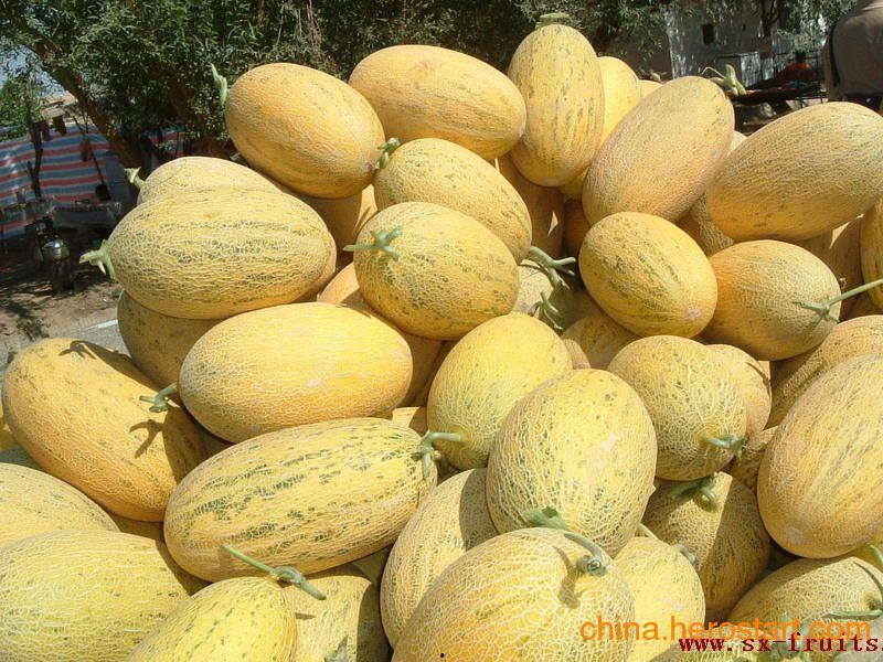 哈密瓜批发价格今日行情,今日哈密瓜批发价格行情分析