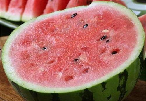 勐海麒麟瓜今日价格,价格行情一览