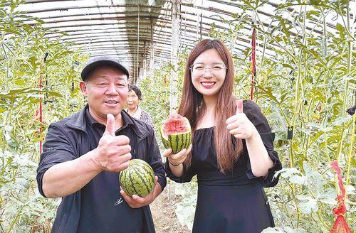 2k吊瓜今日价格,市场行情一览