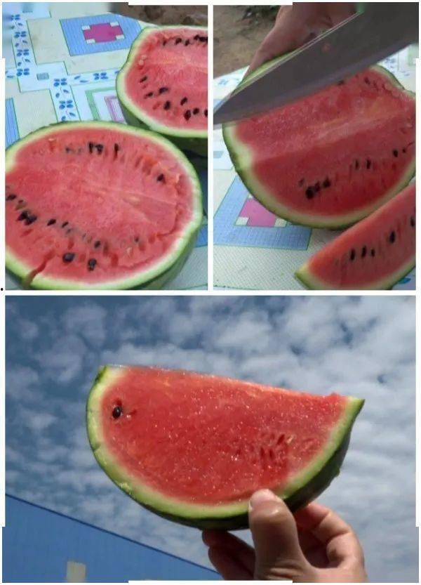 2k吊瓜今日价格,市场行情一览