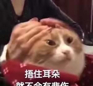 为什么明星网红老是偷税,揭秘明星网红偷税背后的真相与原因