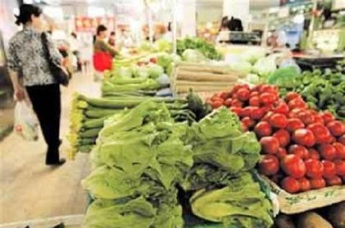 万邦吊瓜今日行情价格,今日价格走势解析