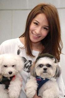 明星网红养狗是谁呀,揭秘养狗背后的温馨故事