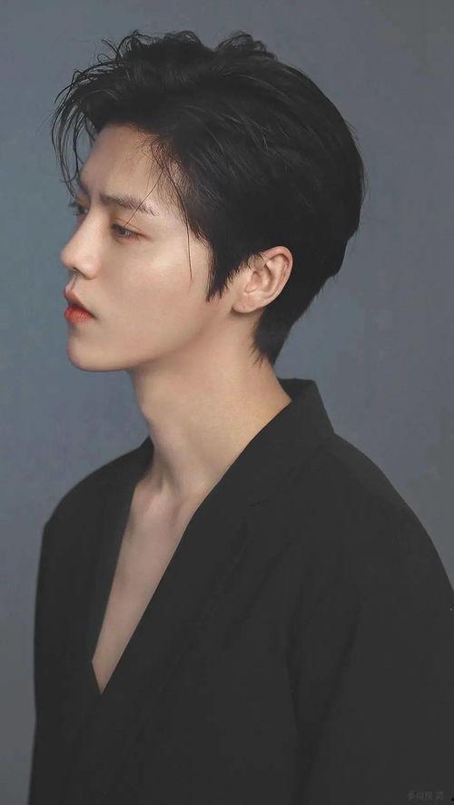 明星网红墙贴画图片,明星风采瞬间捕捉，家居装饰新潮流