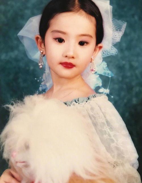 我是大明星网红,网红的崛起与辉煌之路